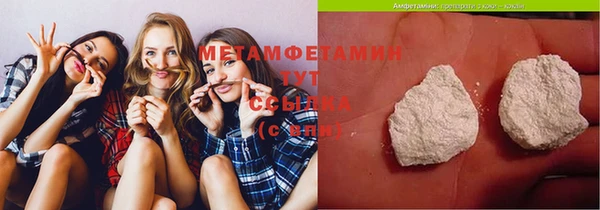 индика Богородск