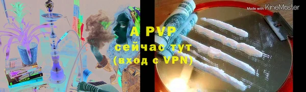 индика Богородск