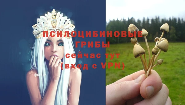 индика Богородск