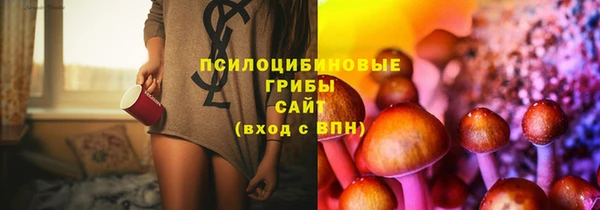 индика Богородск