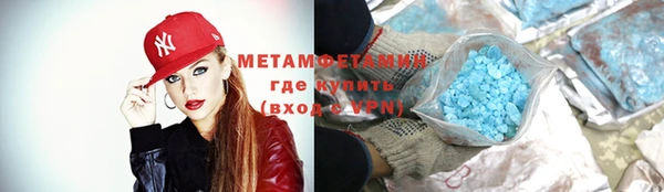 индика Богородск
