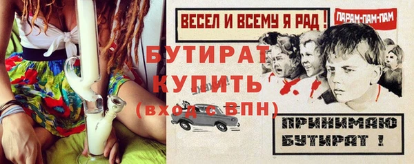 индика Богородск