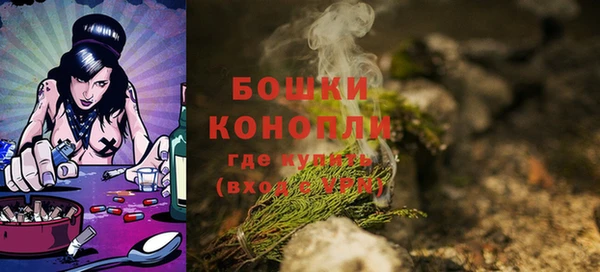 амф Елабуга