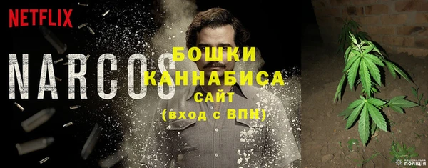 индика Богородск