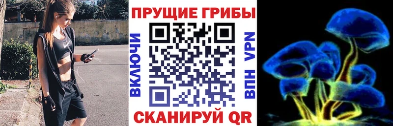 Галлюциногенные грибы мицелий  Облучье 